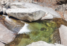 보랏빛 산채마을