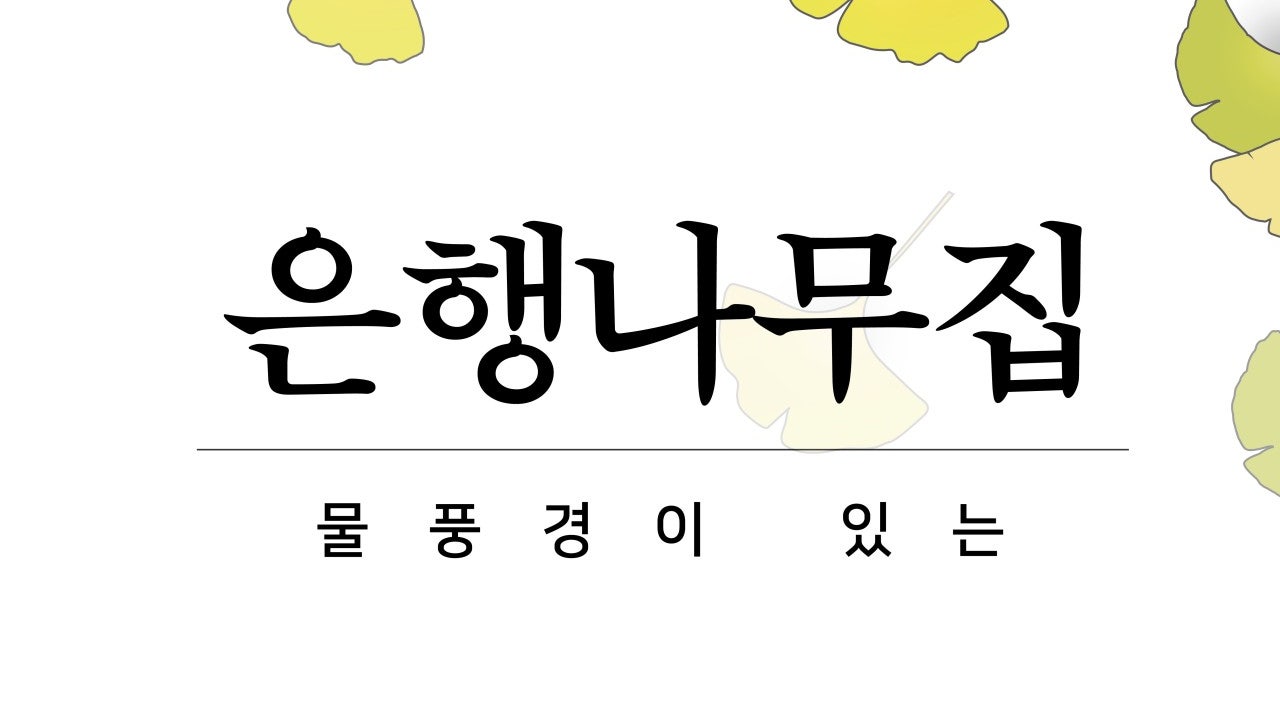 선동은행나무집