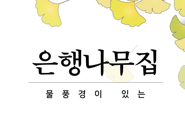 선동은행나무집