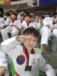미르태권도