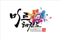 미르태권도