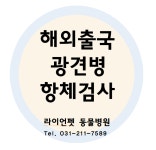 라이언펫 수원광교동물병원