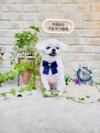 개편한세상
