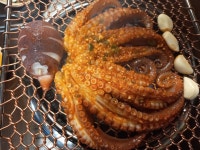 대박통합성점