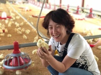 맘마멤버스