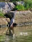 힐링원예쉼표