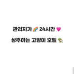 오냥오냥고양이호텔