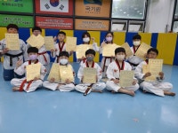 대오태권도