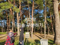 힐링원예쉼표