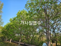 힐링원예쉼표