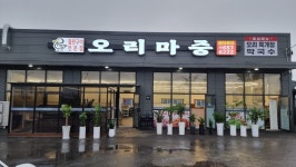 오리마중