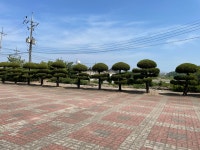 뉴한솔장여관