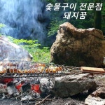 돼지꿈