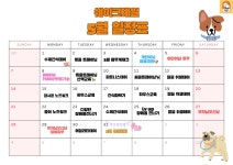쉐이크테일 강아지 애견호텔 애견유치원 미용