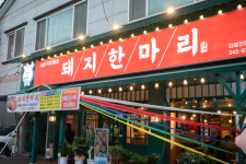 돼지한마리