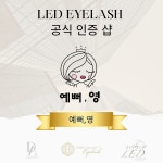 예뻐,영&포켓쥬