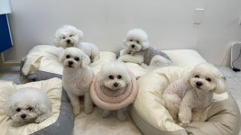 그루밍하우스