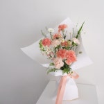 라포즈플레르