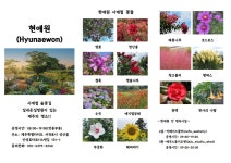 현애원