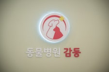 동물병원 감동