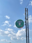 저녁코끼리