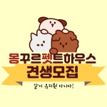 몽꾸르펫트하우스 애견유치원 & 애견호텔