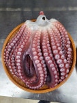 파도수산