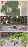 솔바람캠핑장