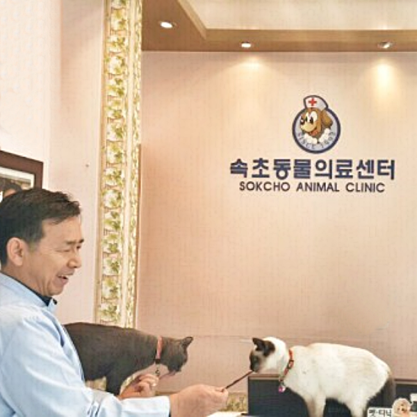 속초동물의료센터