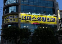 더미스성형외과의원