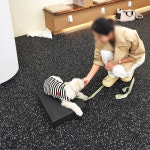 이룸독 반려견 유치원&호텔