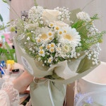 세레니티플레르