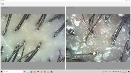 닥터모다르 수원점