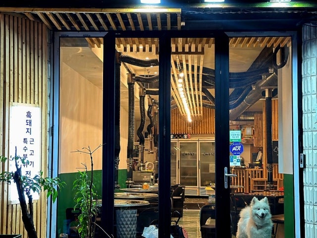 제주돝