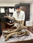시우한의원