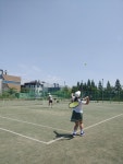 티유테니스