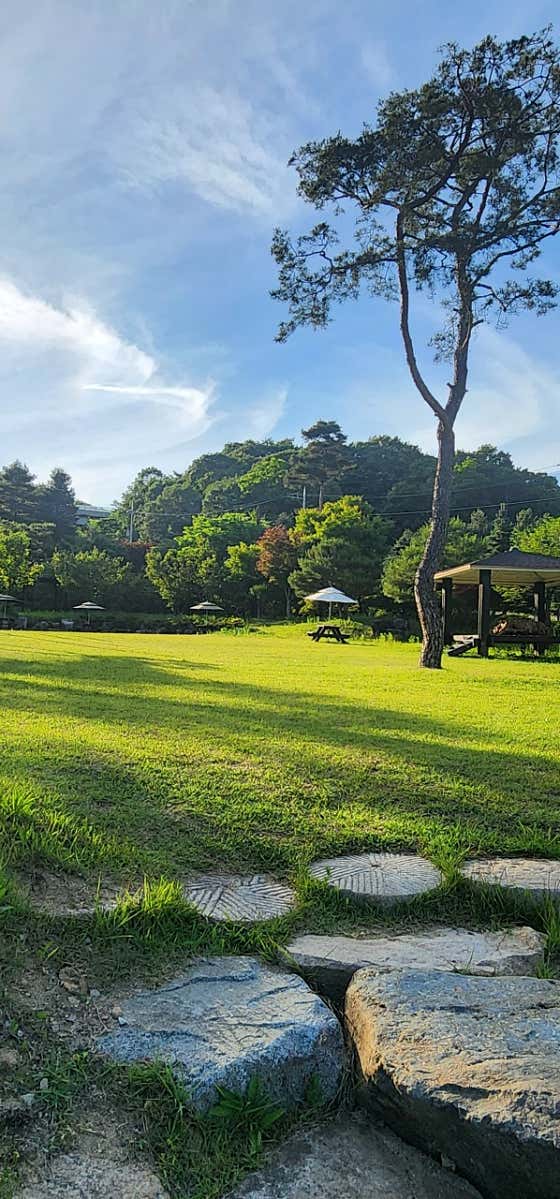 카페능소화 사진