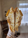 달버터