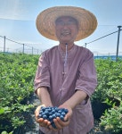 참조은베리
