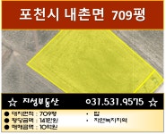 지성공인중개사사무소