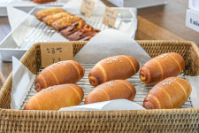 로로디