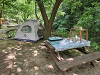 자연과하루치유농장