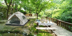 자연과하루치유농장