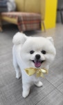 덕구살롱