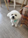 덕구살롱