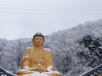 천궁사
