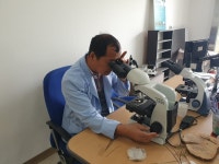 나무식물조경병원