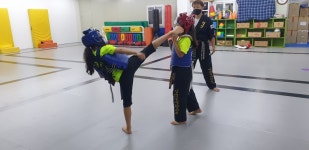 미션무예합기도