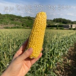 농원엄지