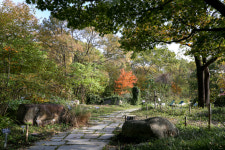 기청산식물원